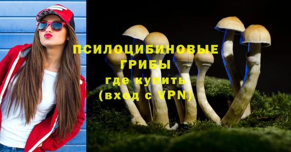 apvp Алексеевка