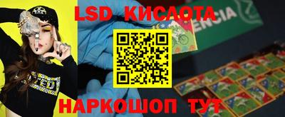СК Кандалакша
