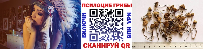 Галлюциногенные грибы Cubensis  закладка  Добрянка 