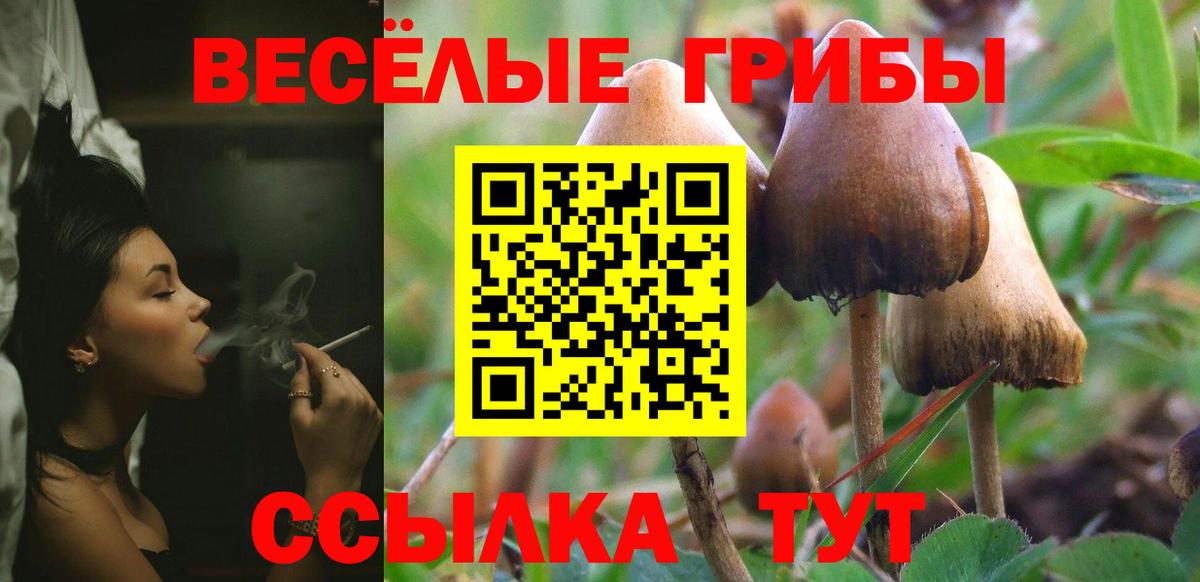 Псилоцибиновые грибы Magic Shrooms Добрянка